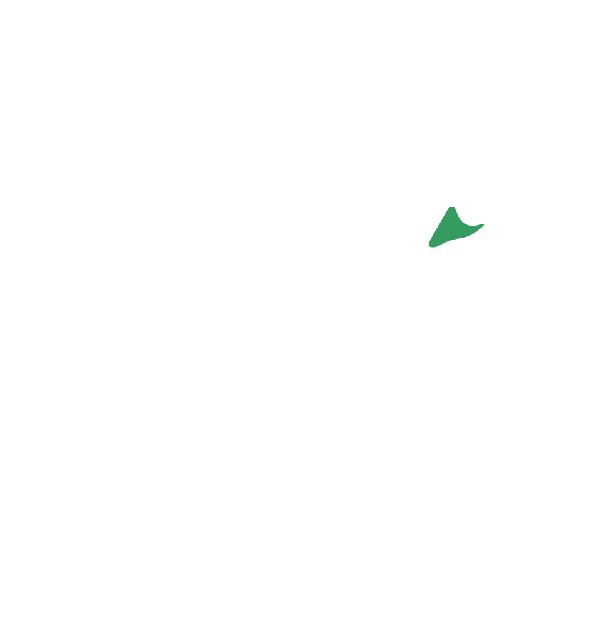 Birdies Logo established 2023 Old Orchard Beach Maine